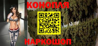 мяу мяу мука Будённовск
