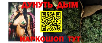 мяу мяу мука Будённовск