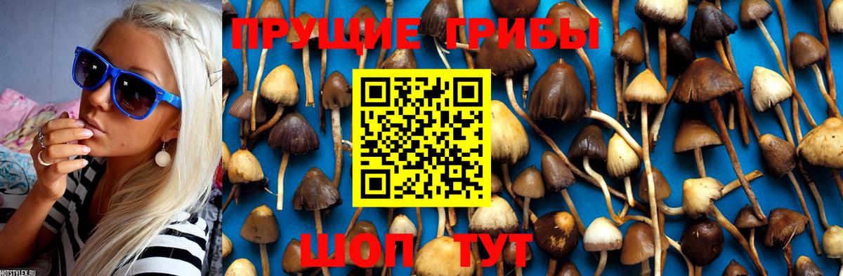 Галлюциногенные грибы Magic Shrooms  Вход с VPN  Новосибирск 