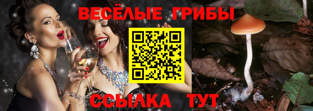 Псилоцибиновые грибы ЛСД Новосибирск